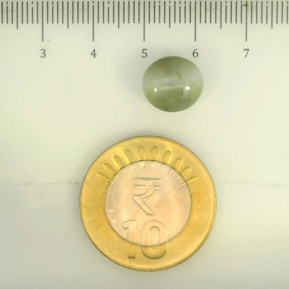 ITLGR_109798_SCALE.webp
