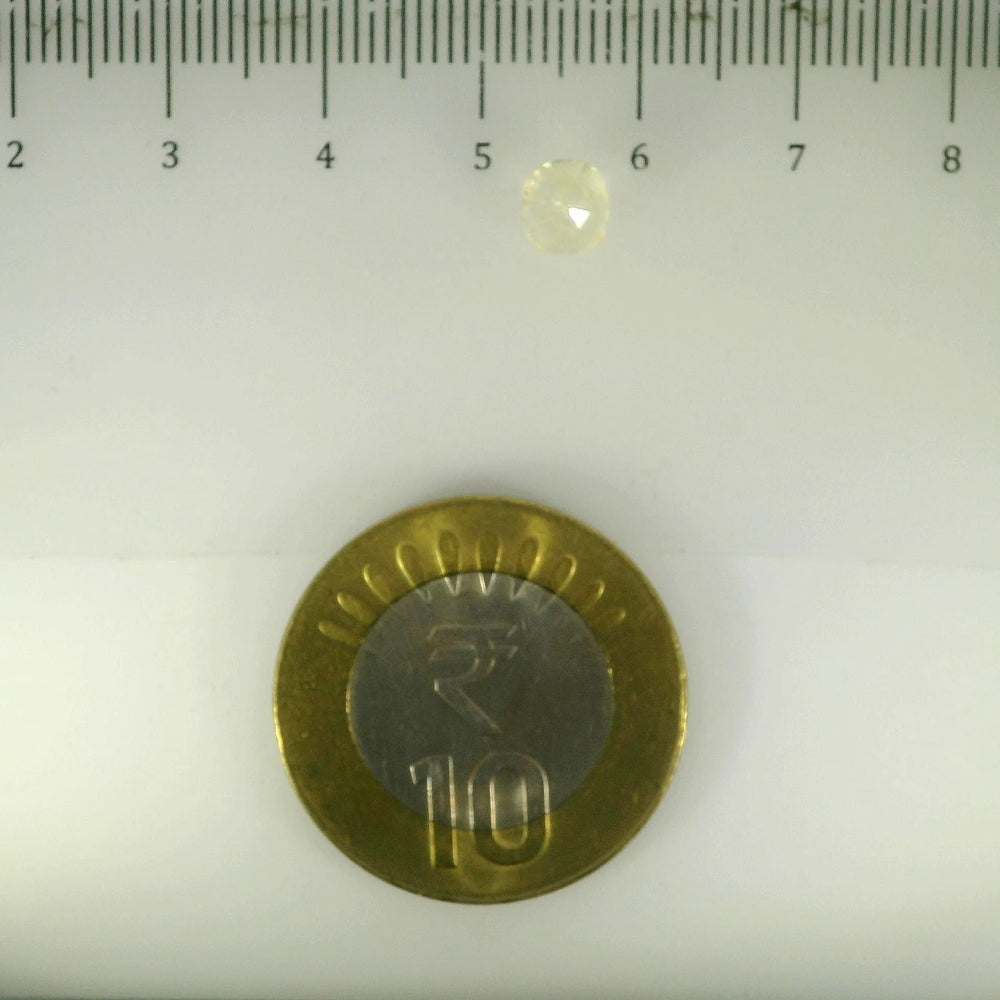 ITLGR_105006_SCALE.webp