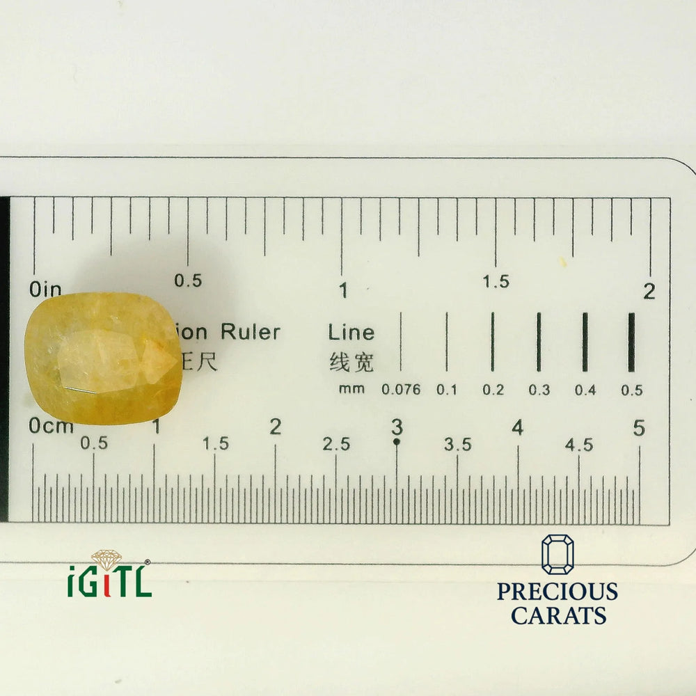 IGITL_194710_SCALE.webp