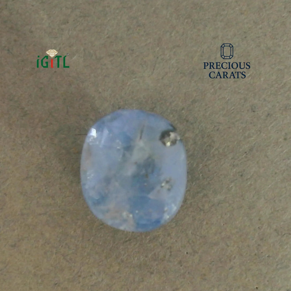 IGITL_200242_TOP.webp