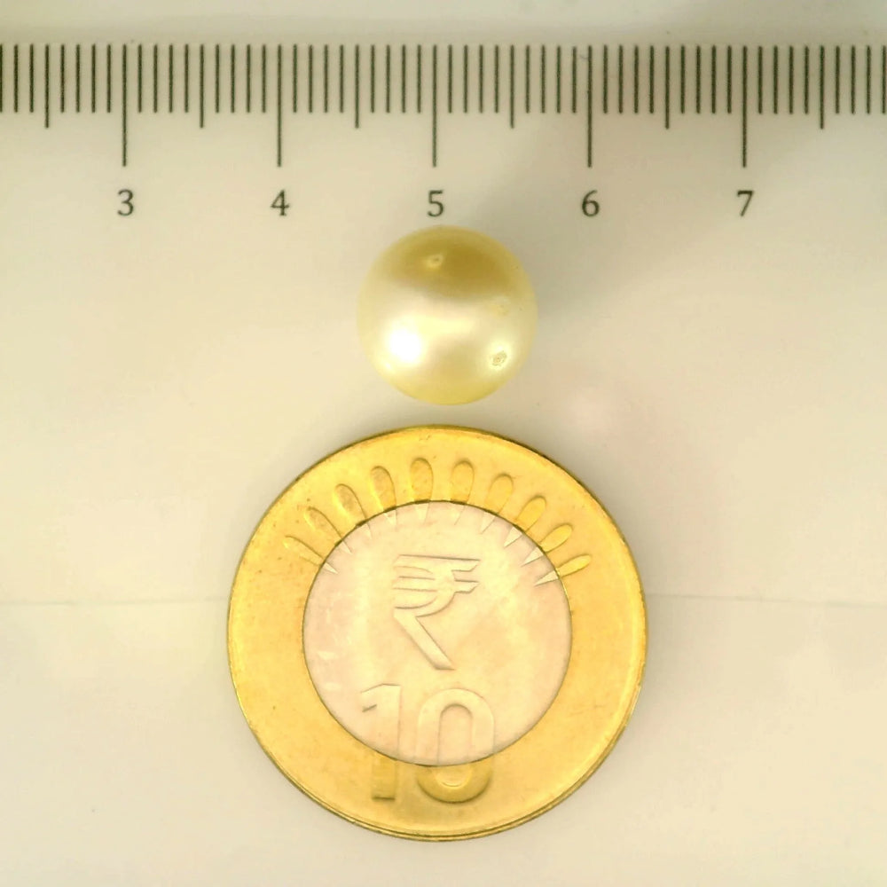 ITLGR_106933_SCALE.webp