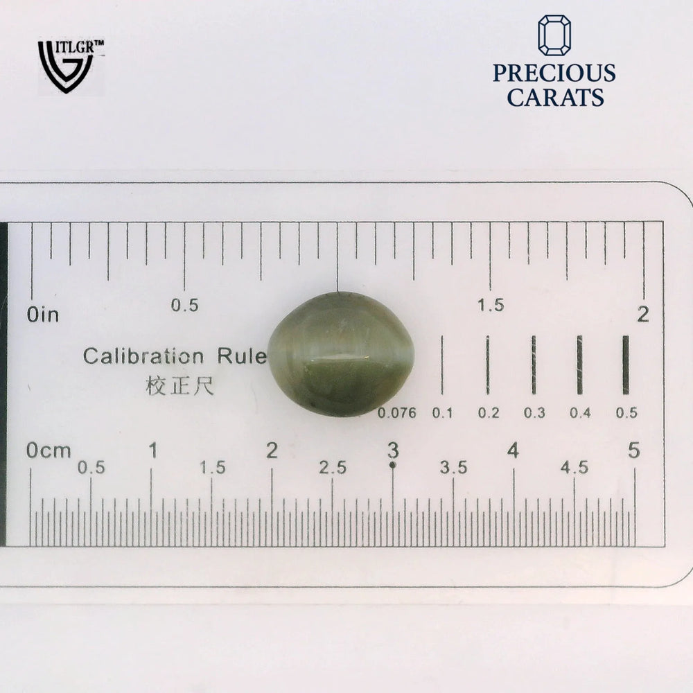 ITLGR_100584_SCALE.webp
