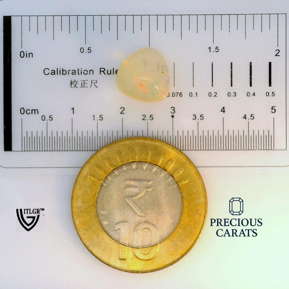 ITLGR_100564_SCALE.webp