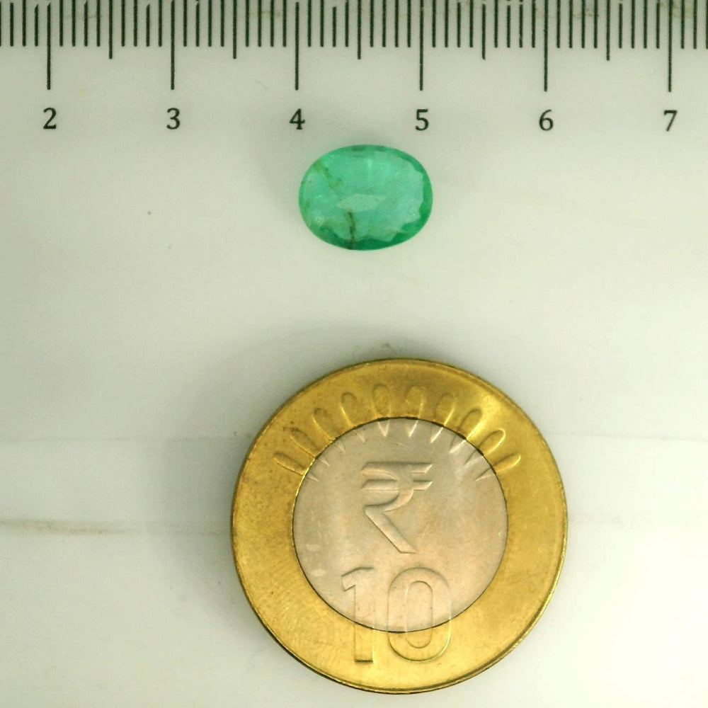 AGR_88377_SCALE.webp