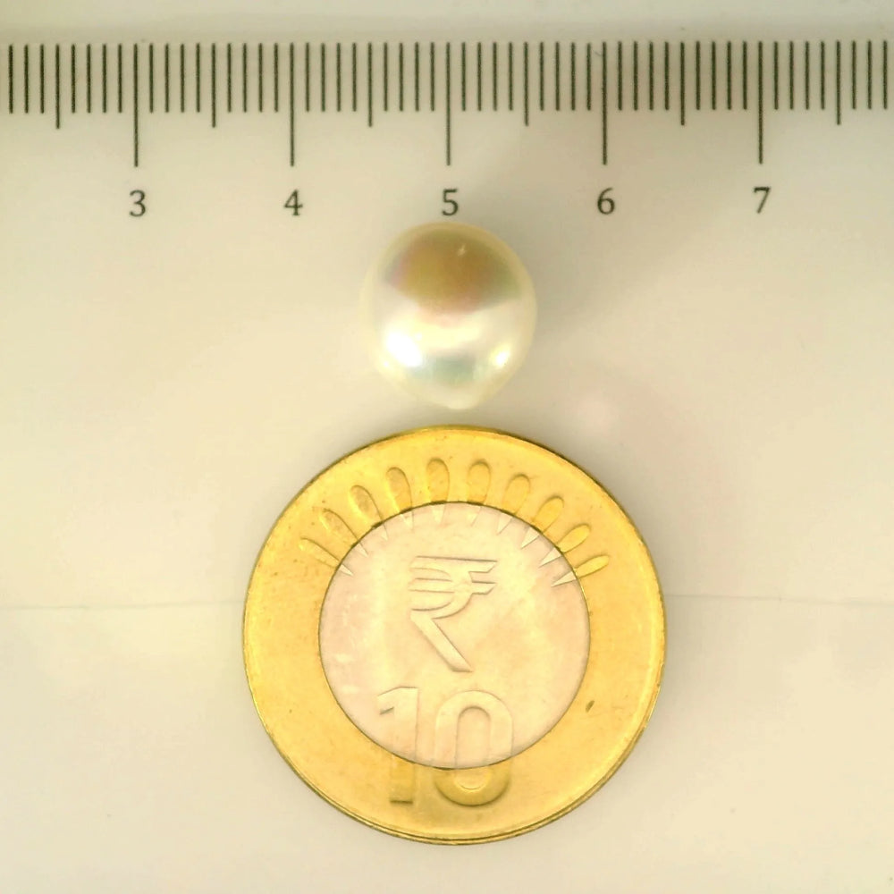 ITLGR_106950_SCALE.webp
