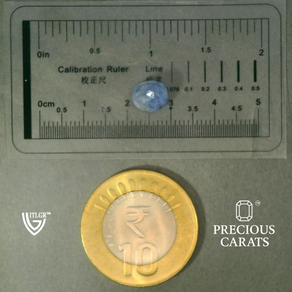 ITLGR_100471_SCALE.webp