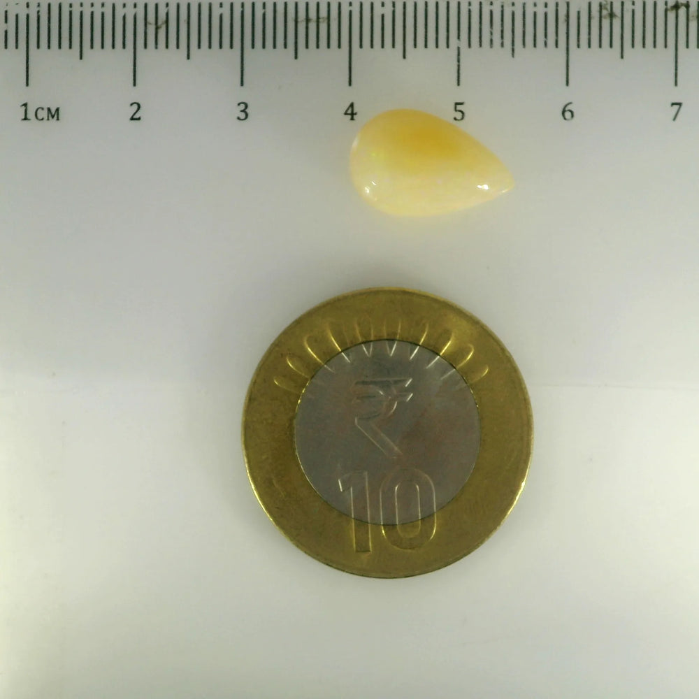 ITLGR_100557_SCALE.webp