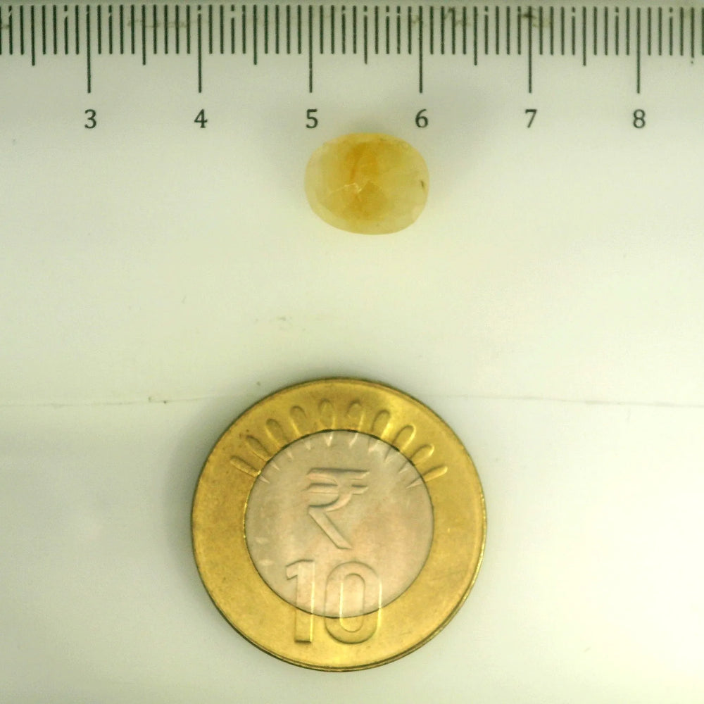 ITLGR_106773_SCALE.webp