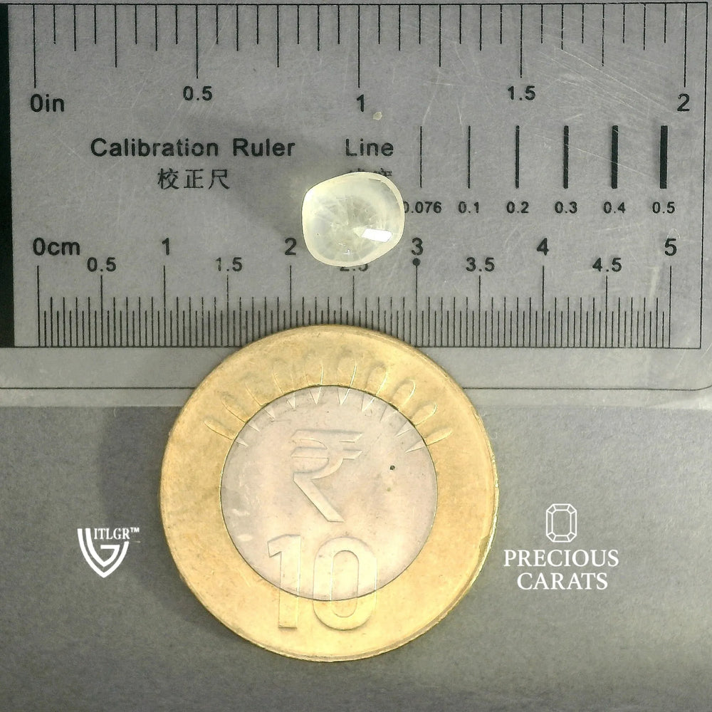 ITLGR_100387_SCALE.webp