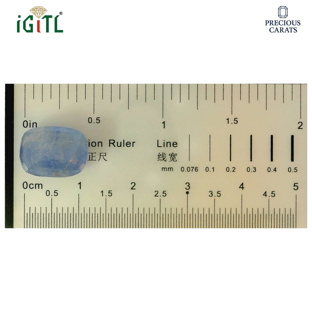 IGITL_194683_SCALE.webp