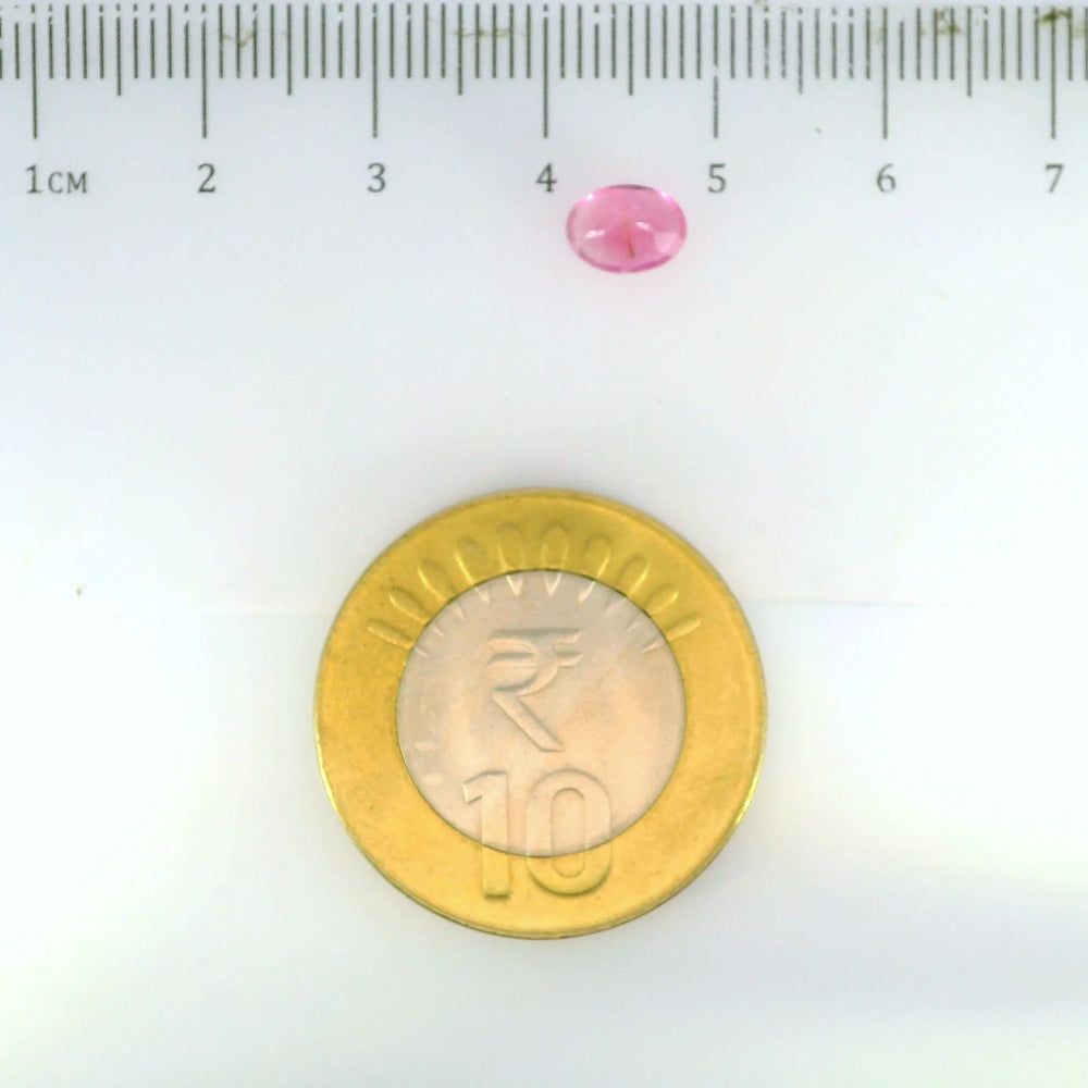 ITLGR_113296_SCALE.webp
