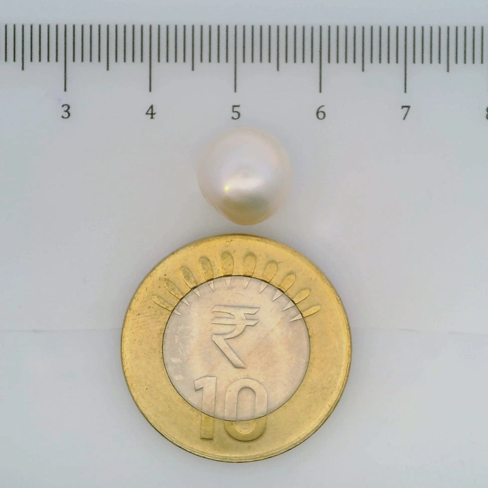 ITLGR_107032_SCALE.webp