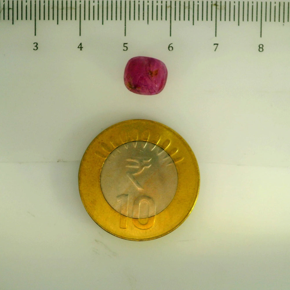 GFCO_39059_31_SCALE.webp