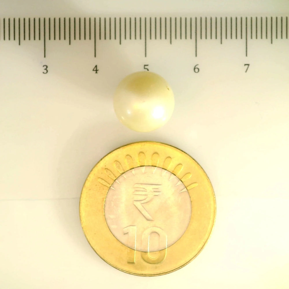 ITLGR_106897_SCALE.webp