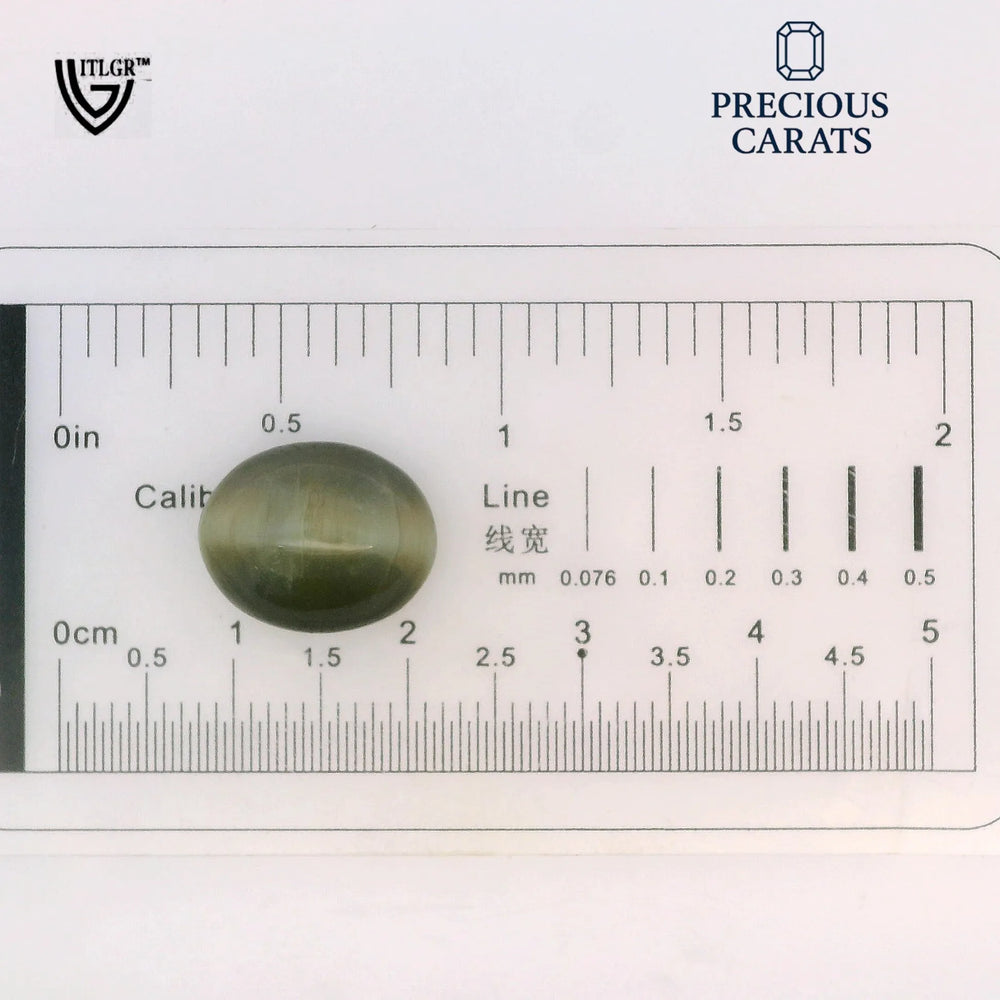 ITLGR_100596_SCALE.webp