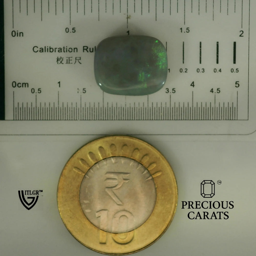 ITLGR_101951_SCALE.webp