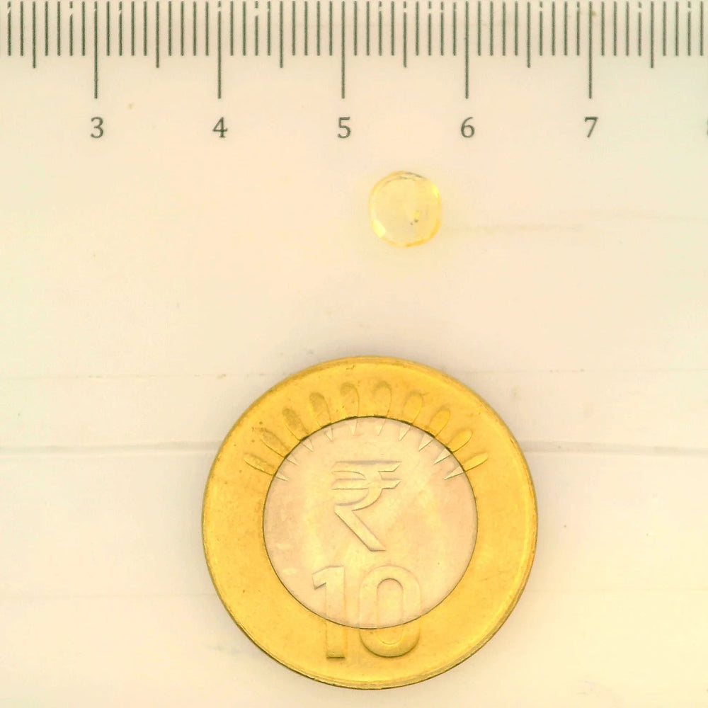 ITLGR_104937_SCALE.webp