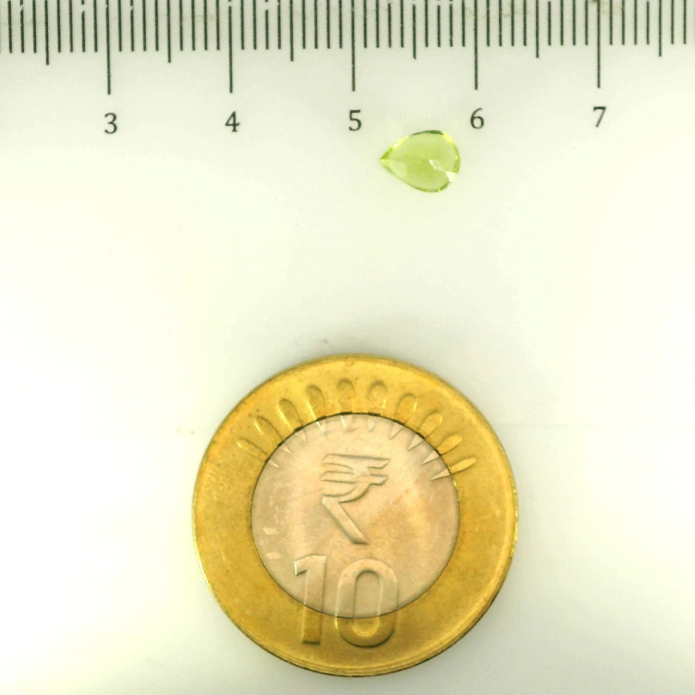 ITLGR_109373_SCALE.webp