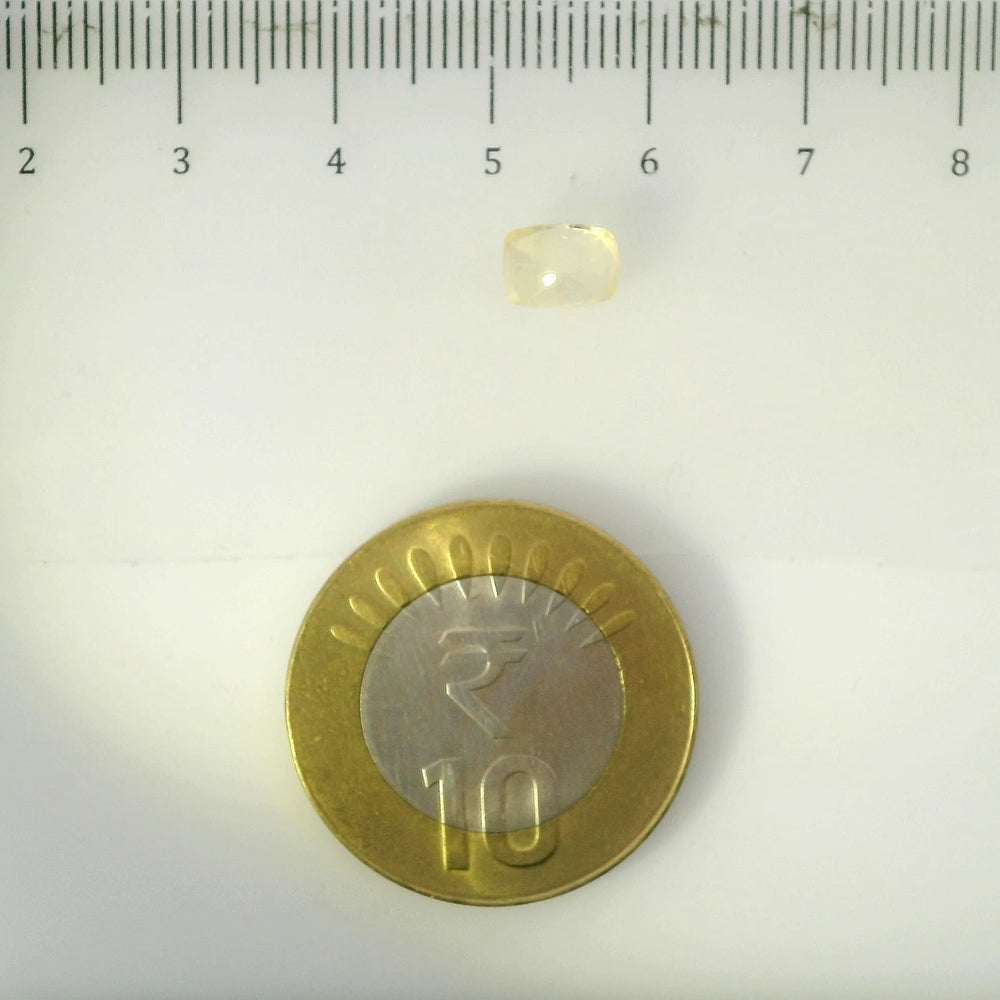 ITLGR_105002_SCALE.webp