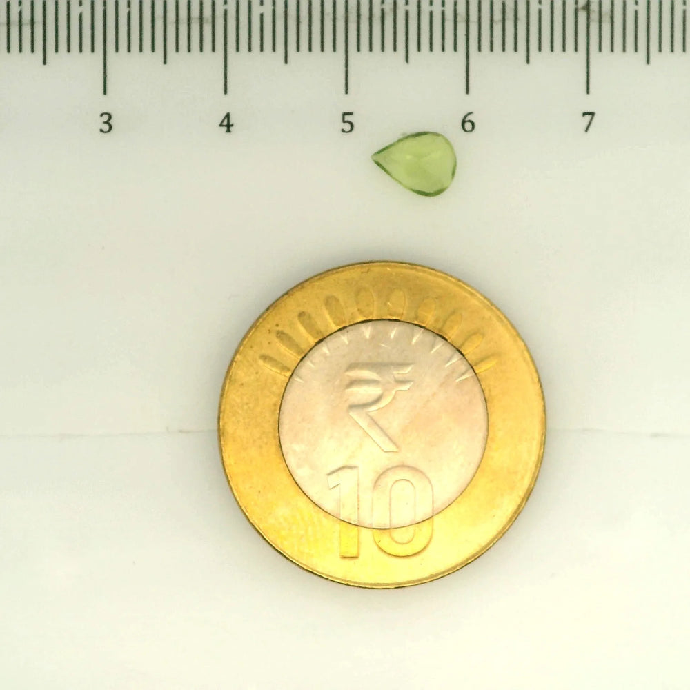 ITLGR_109376_SCALE.webp