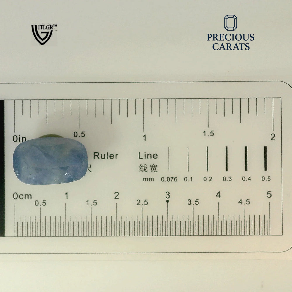 ITLGR_99028_SCALE.webp