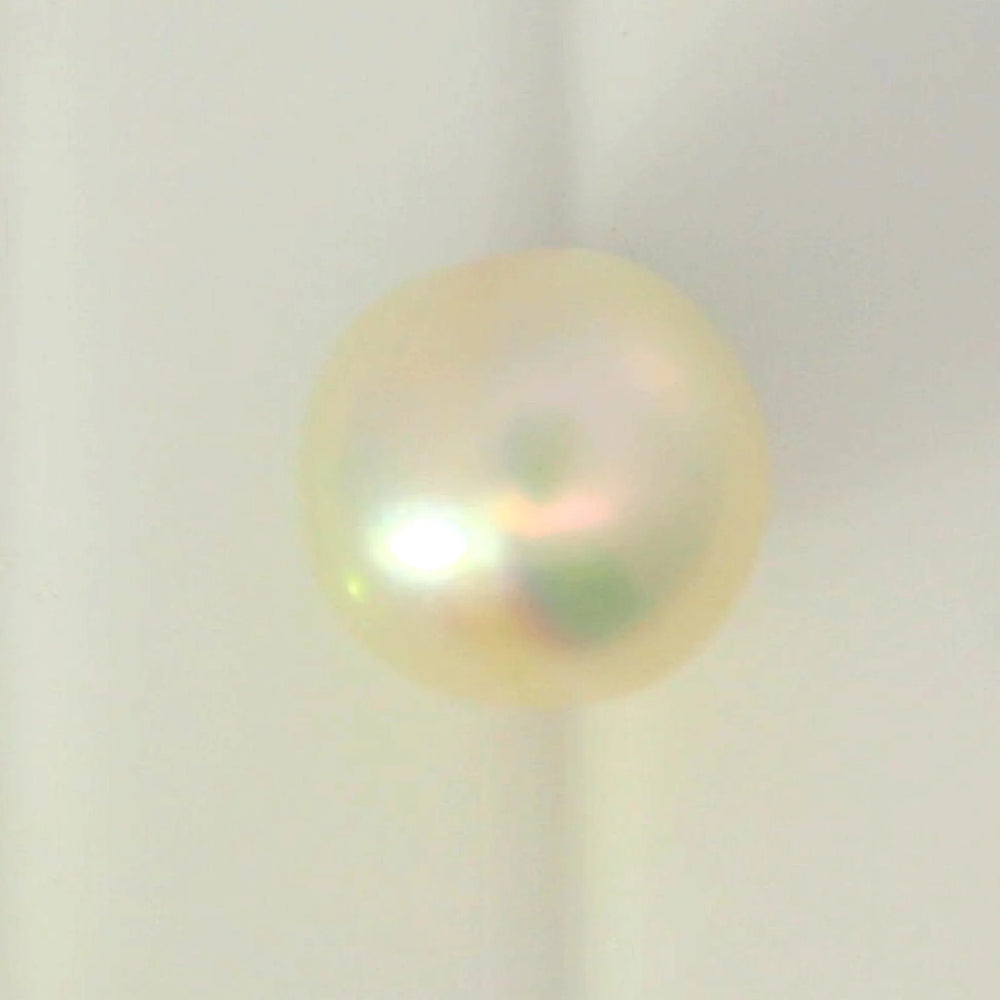 ITLGR_99862_TOP.webp