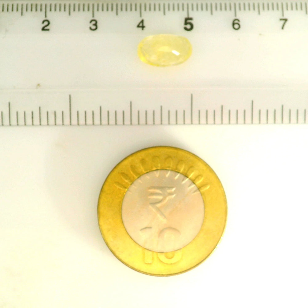IGITL_211659_SCALE.webp