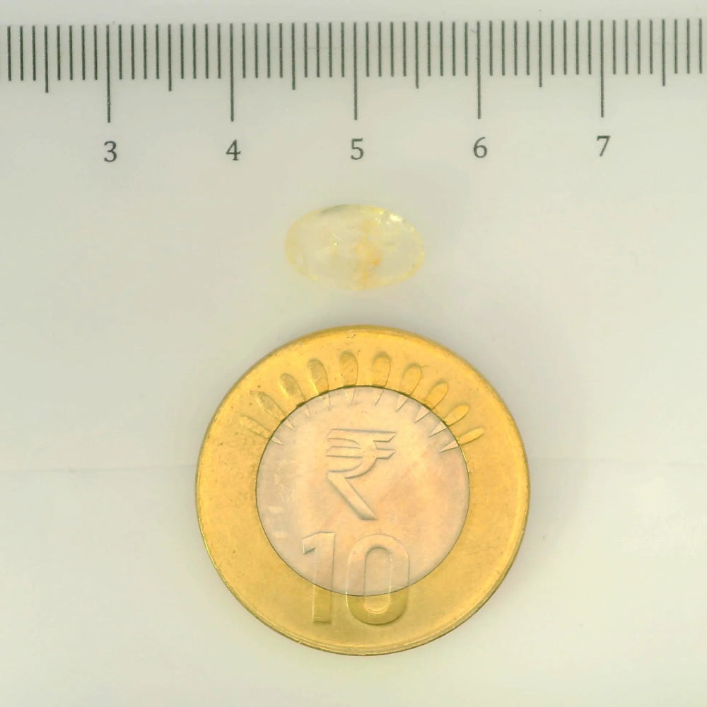 IGITL_200271_SCALE.webp