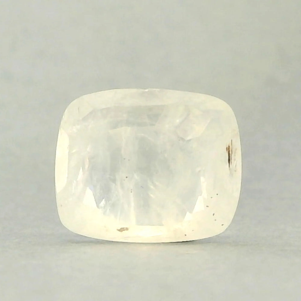 IGITL_194731_BACK.webp