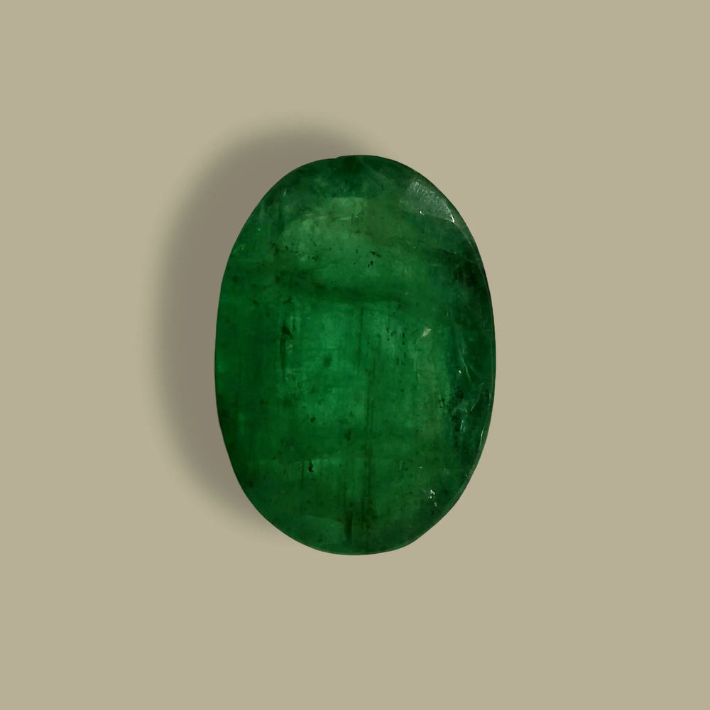 IGITL_205631_TOP.webp
