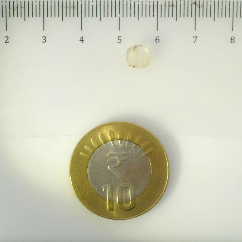 ITLGR_105001_SCALE.webp