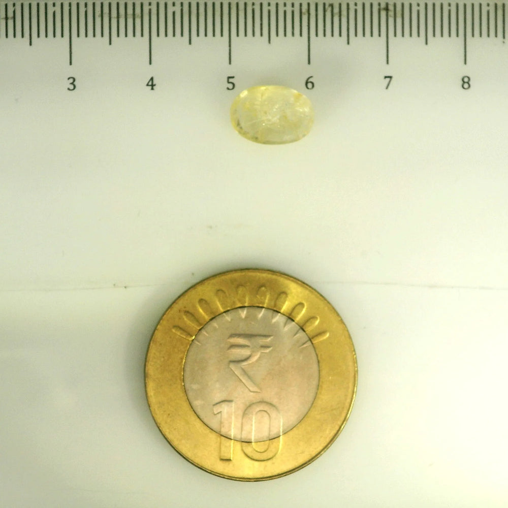 IGITL_201538_SCALE.webp