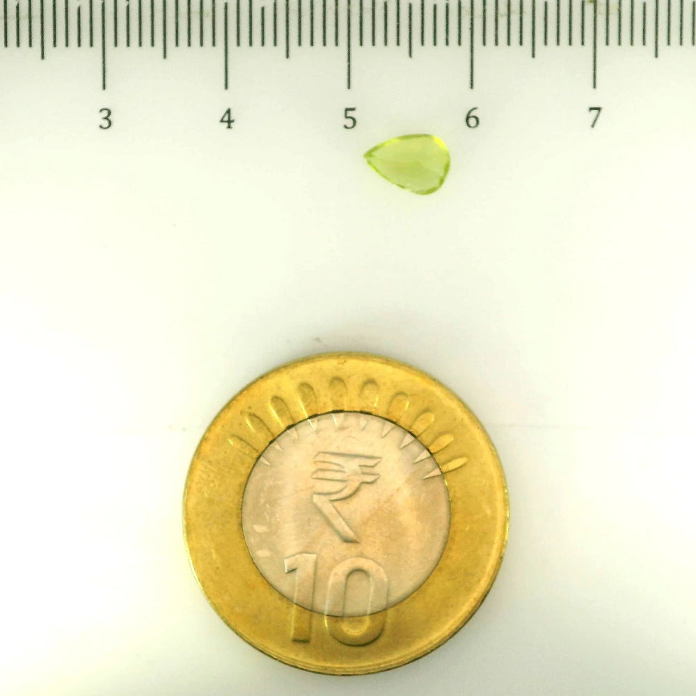 ITLGR_109368_SCALE.webp