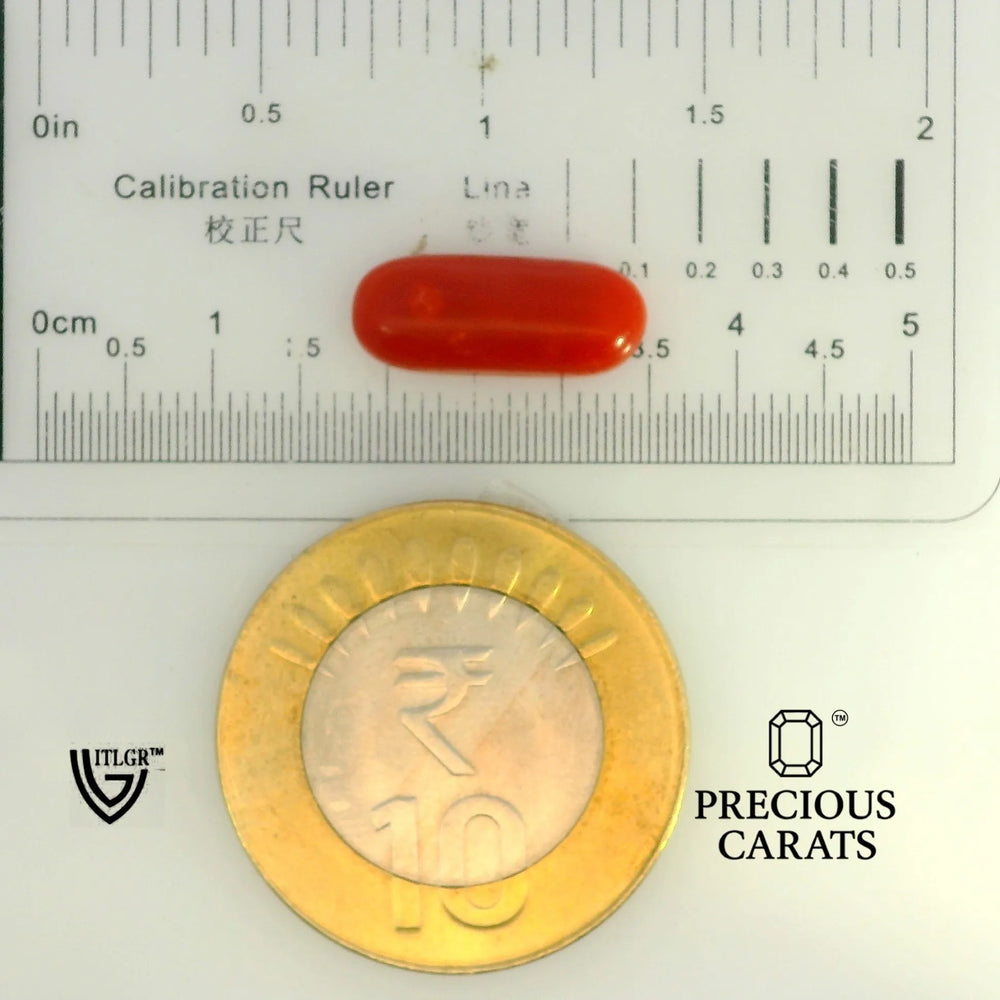 ITLGR_104536_SCALE.webp
