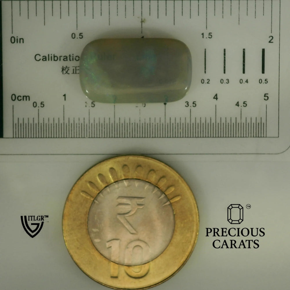 ITLGR_101952_SCALE.webp