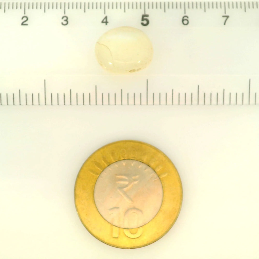 ITLGR_121471_SCALE.webp