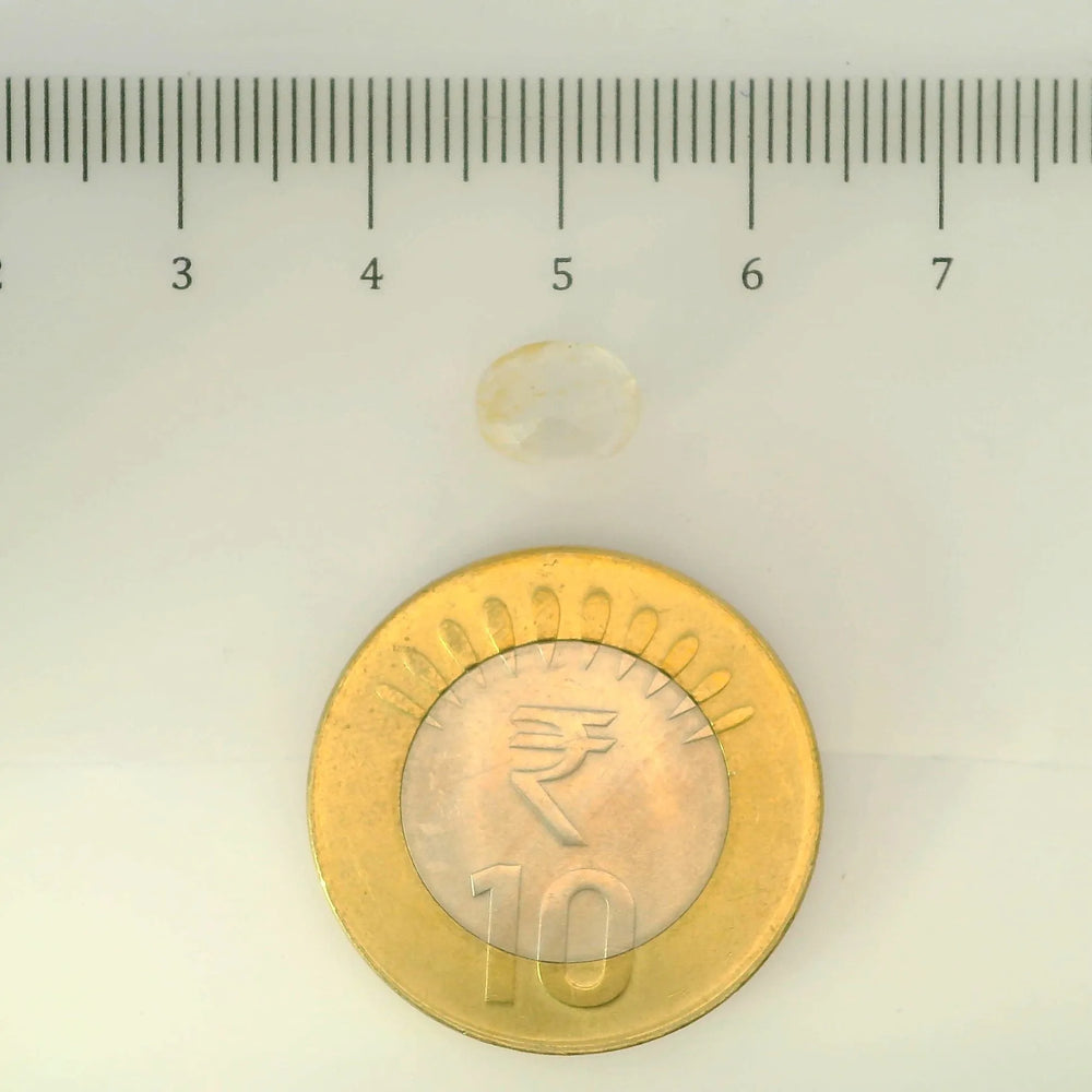 IGITL_200281_SCALE.webp