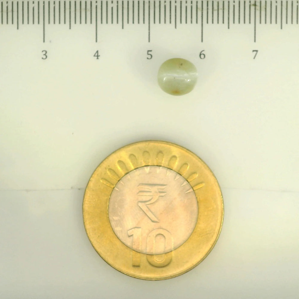 ITLGR_109808_SCALE.webp