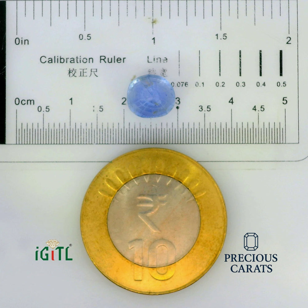 IGITL_197788_SCALE.webp