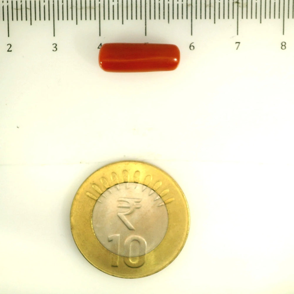 ITLGR_112856_SCALE.webp