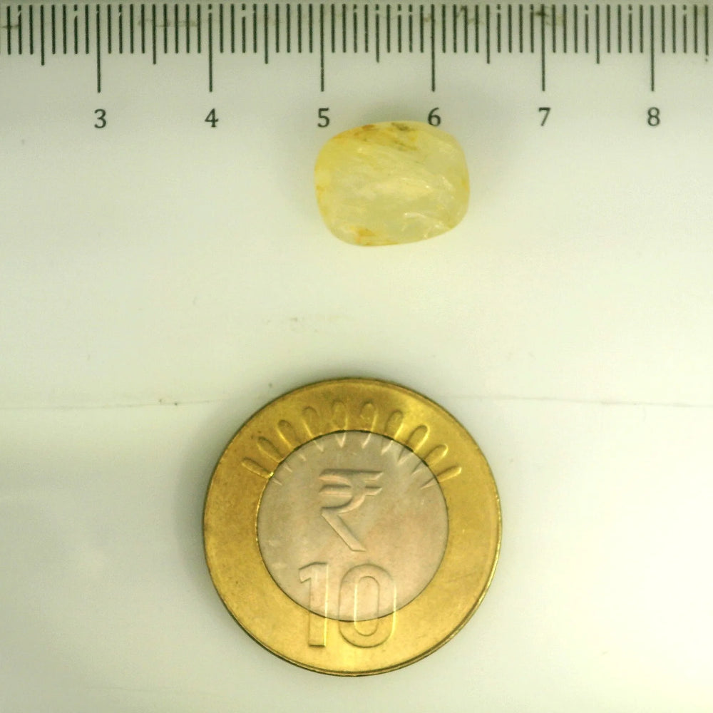 IGITL_201533_SCALE.webp