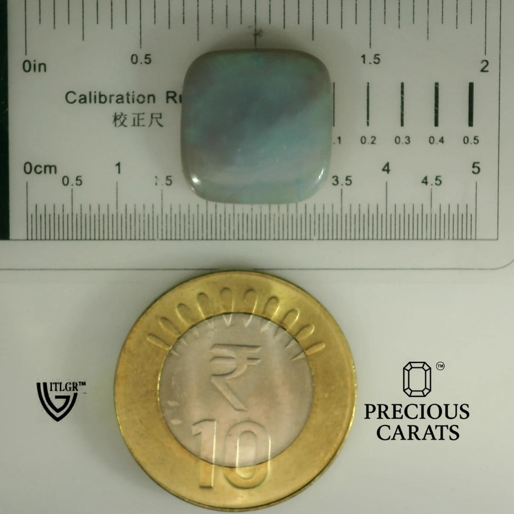 ITLGR_101956_SCALE.webp