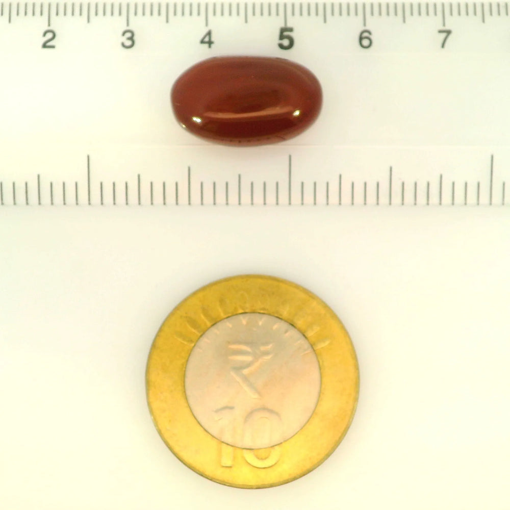 ITLGR_121473_SCALE.webp