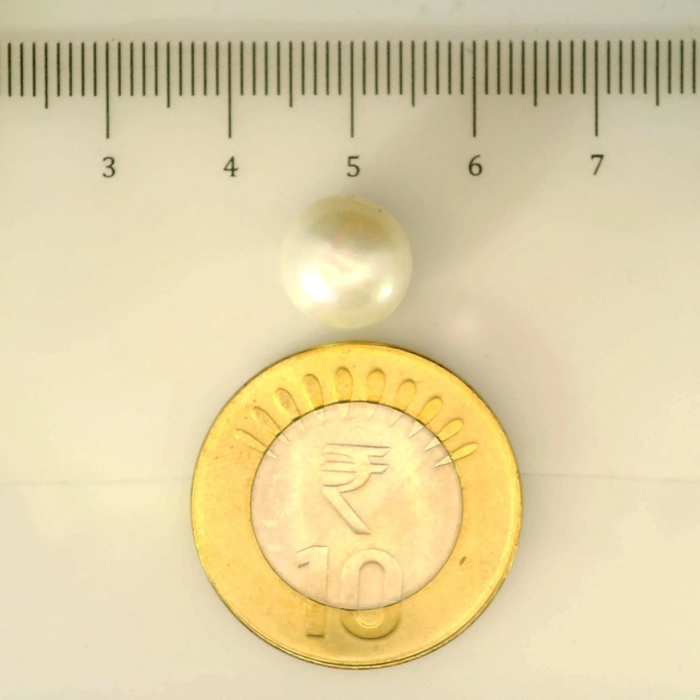 ITLGR_106957_SCALE.webp