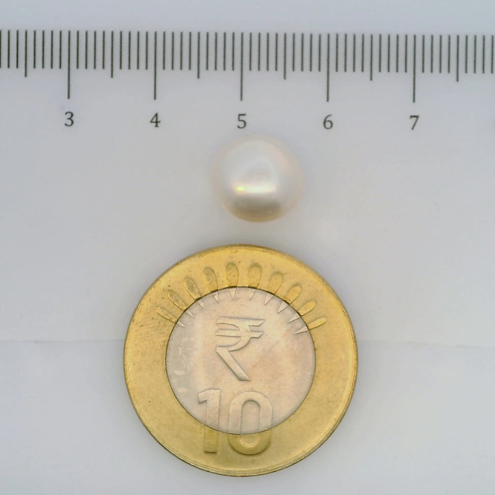 ITLGR_106971_SCALE.webp
