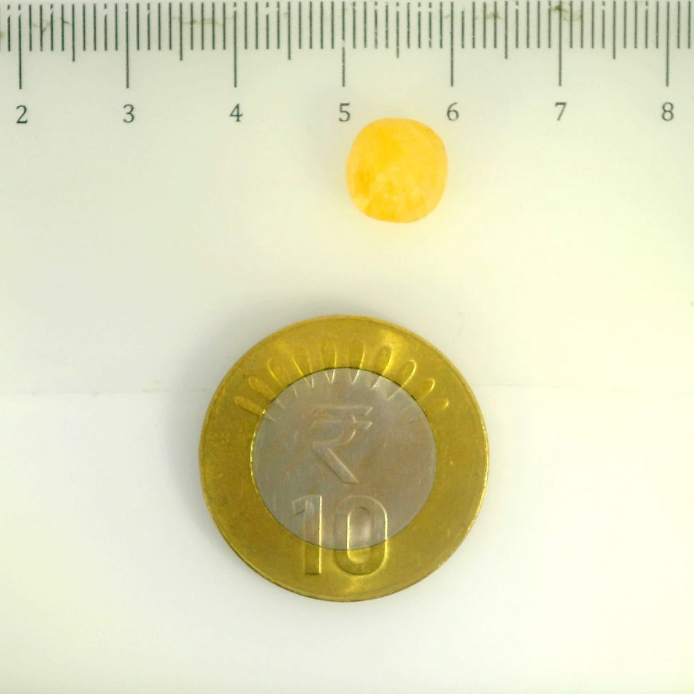 ITLGR_99067_SCALE.webp