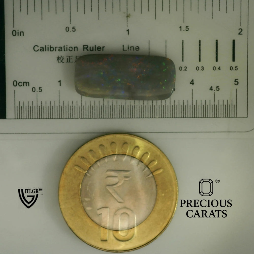 ITLGR_101955_SCALE.webp