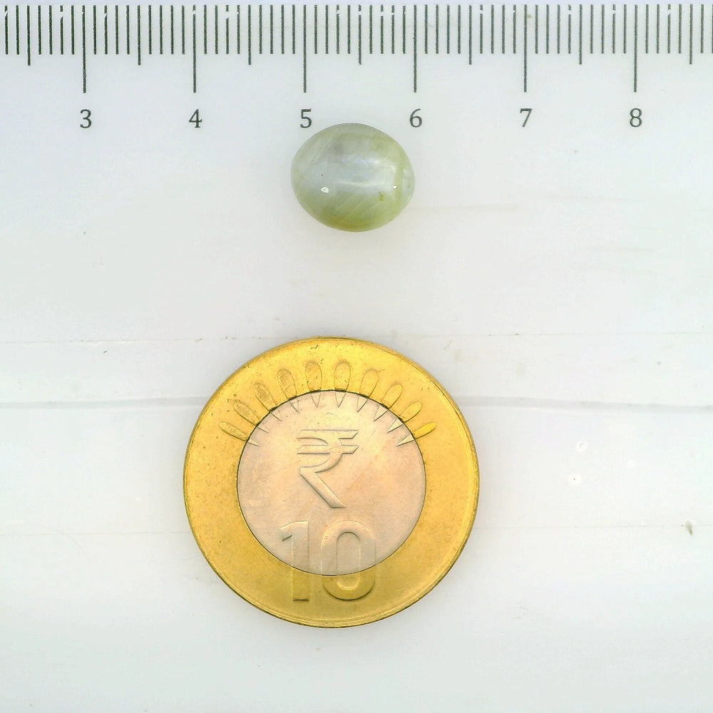 ITLGR_109773_SCALE.webp