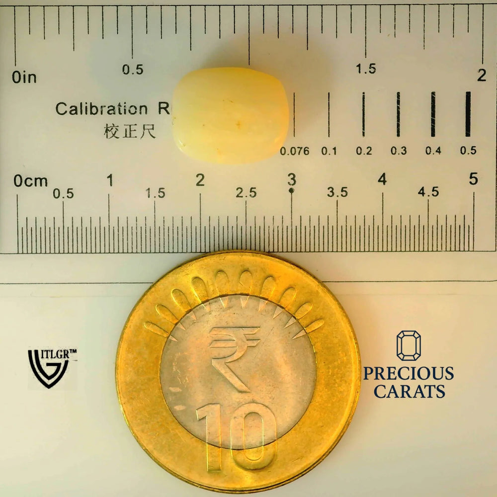 ITLGR_99886_SCALE.webp