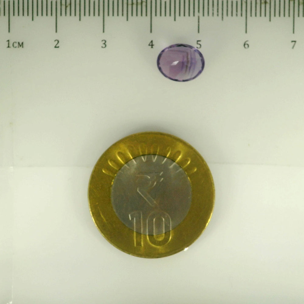 ITLGR_112956_SCALE.webp
